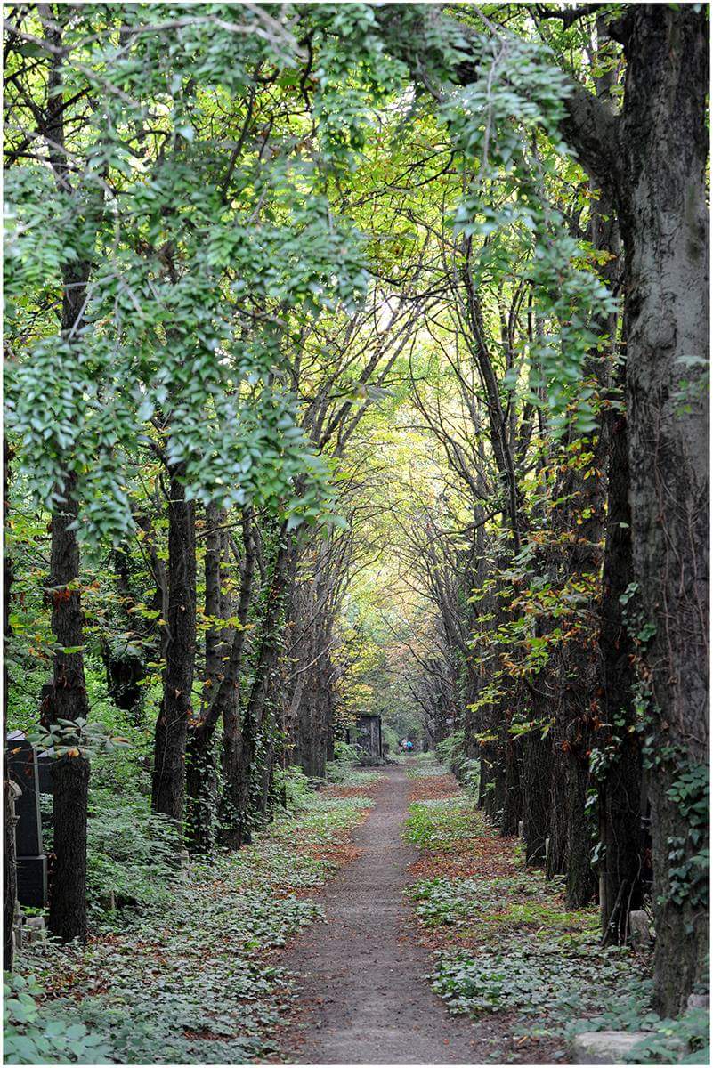 Budapest Jewish Walk late summer peace and quiet jewish cemetery